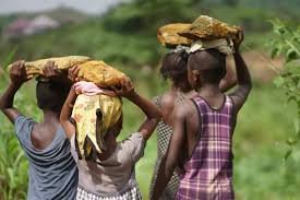 child labour

