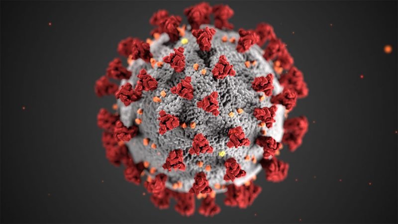 COVID-19: How a Pandemic Changed Our Lives Forever